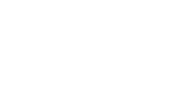 Dr Anneliese Schwellnus